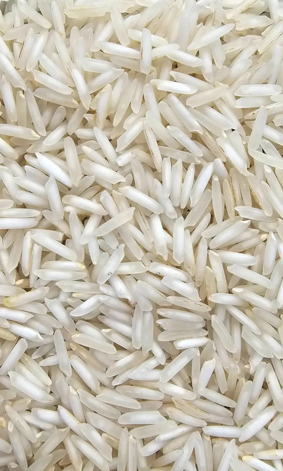 1509 Steam Pesticide Residue Free Rice