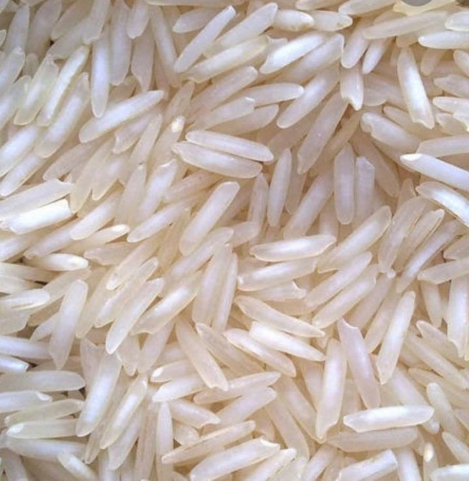 1509 Raw Basmati Rice