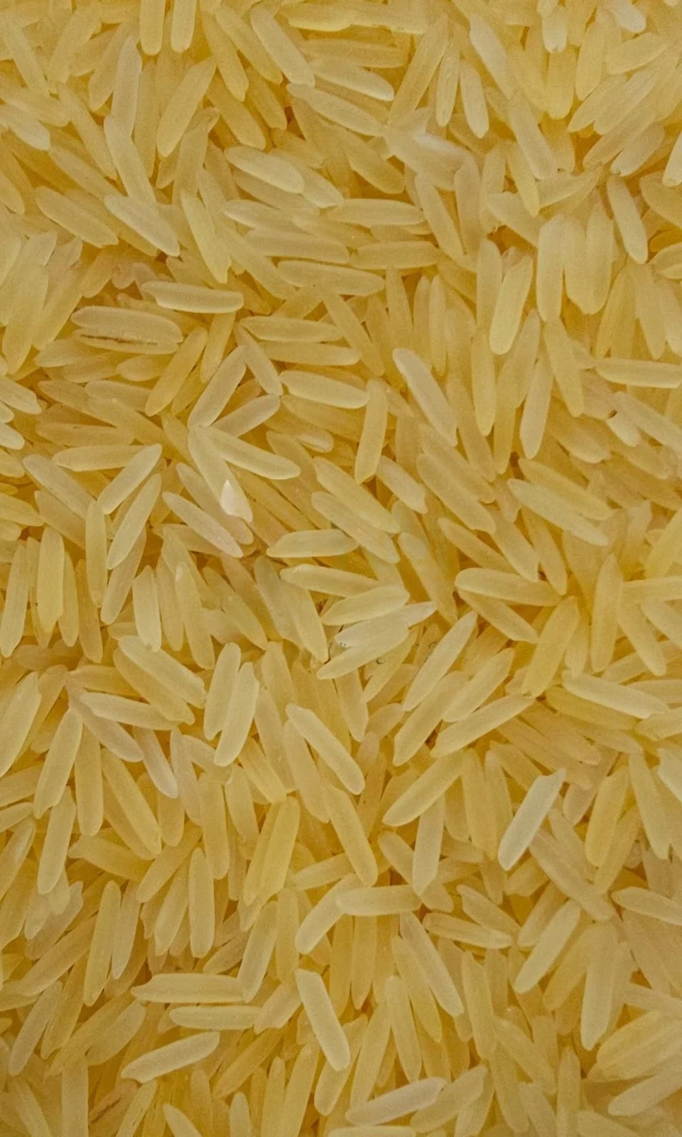 1718 Golden Sella Pesticide Residue Free Rice