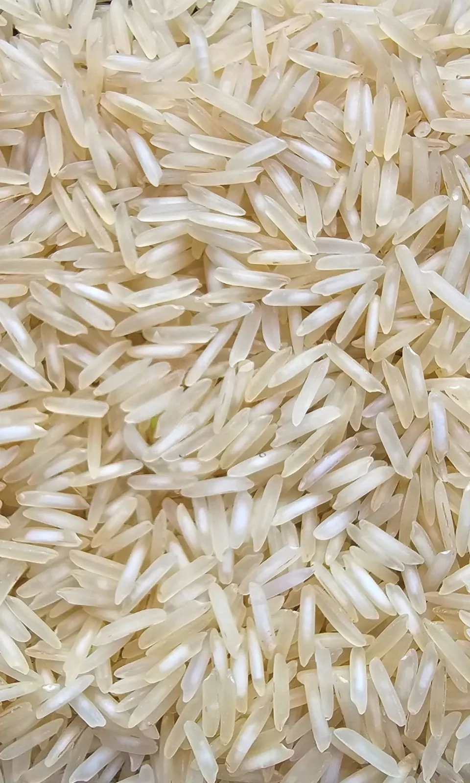 PUSA RAW PESTICIDE RESIDUE FREE RICE